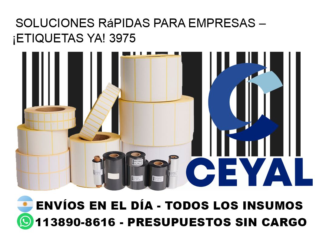 Soluciones Rápidas para Empresas – ¡Etiquetas Ya! 3975