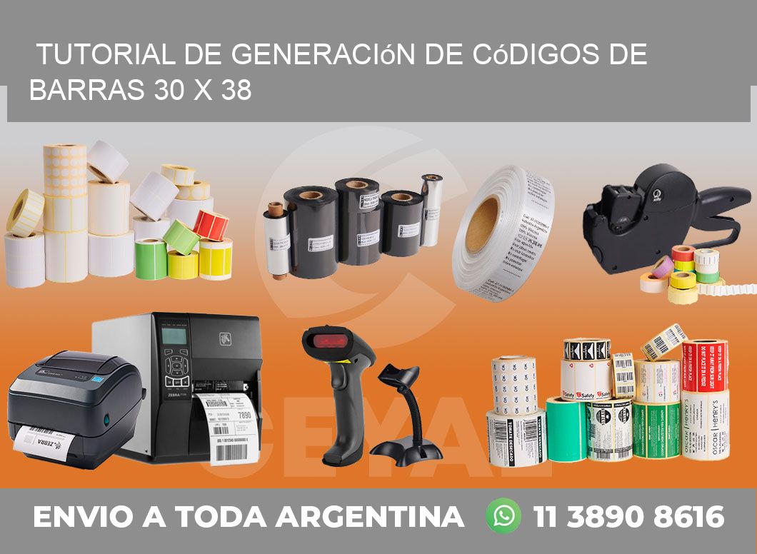 Tutorial de Generación de Códigos de Barras 30 x 38