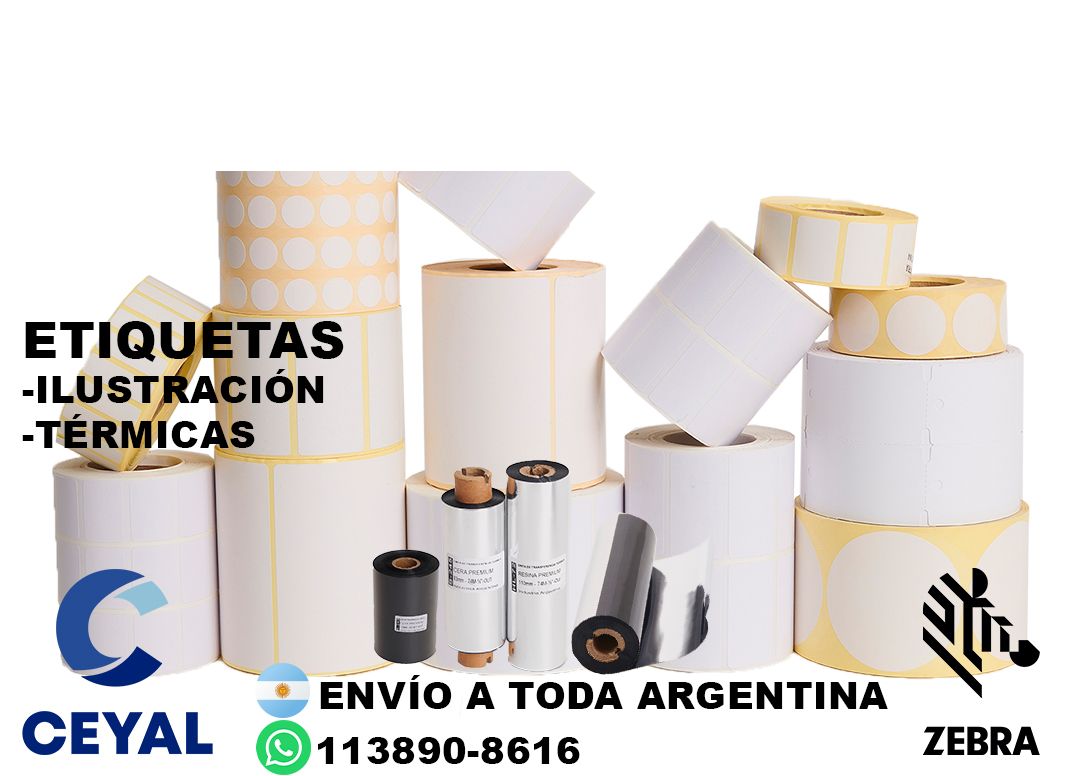 19750 Impresora de etiquetas autoadhesivas industrial