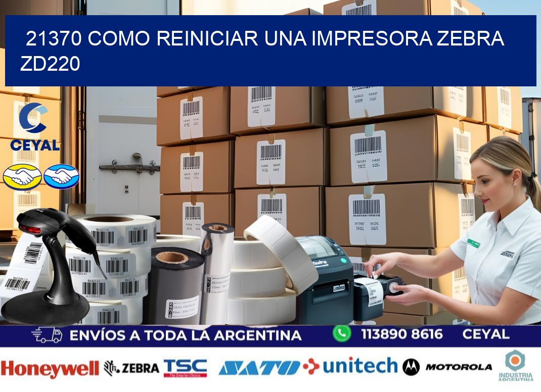 21370 Como reiniciar una impresora Zebra  ZD220