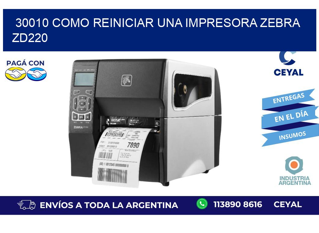 30010 Como reiniciar una impresora Zebra  ZD220