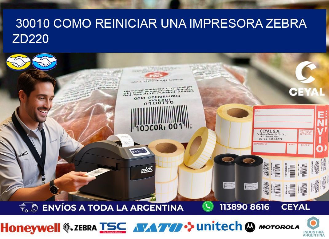 30010 Como reiniciar una impresora Zebra  ZD220