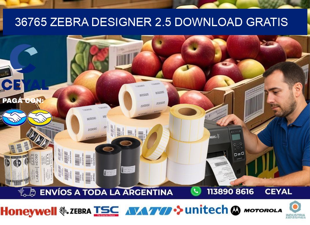 36765 Zebra designer 2.5 download gratis