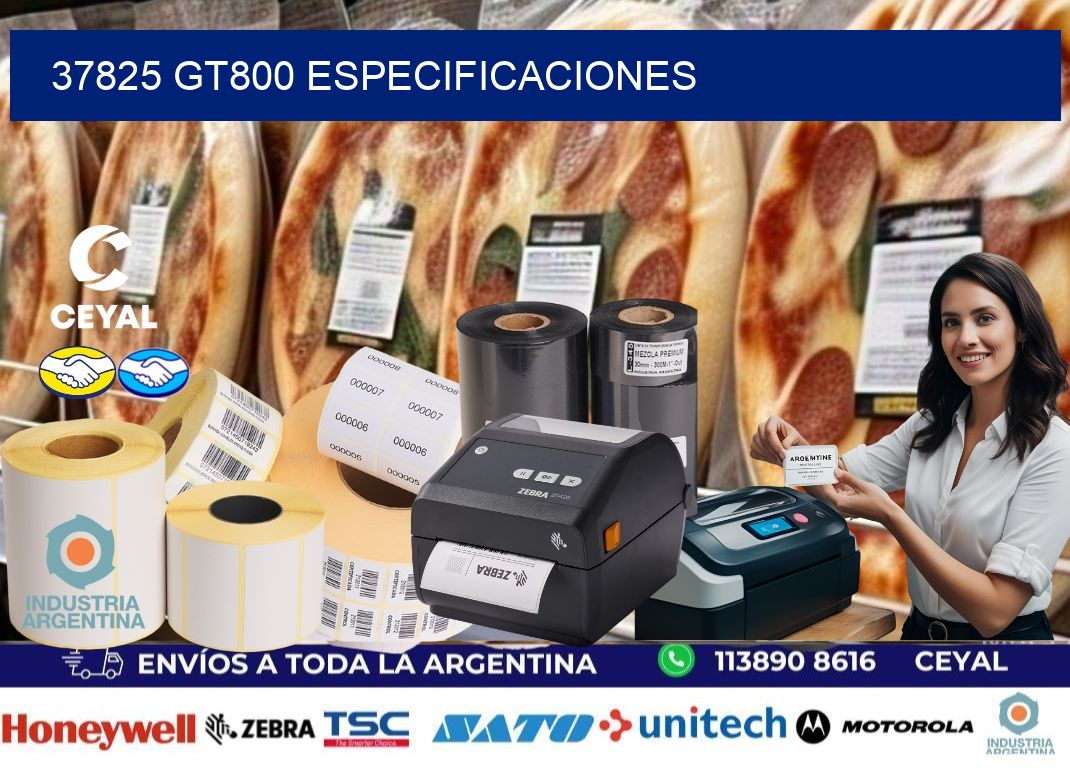 37825 GT800 especificaciones