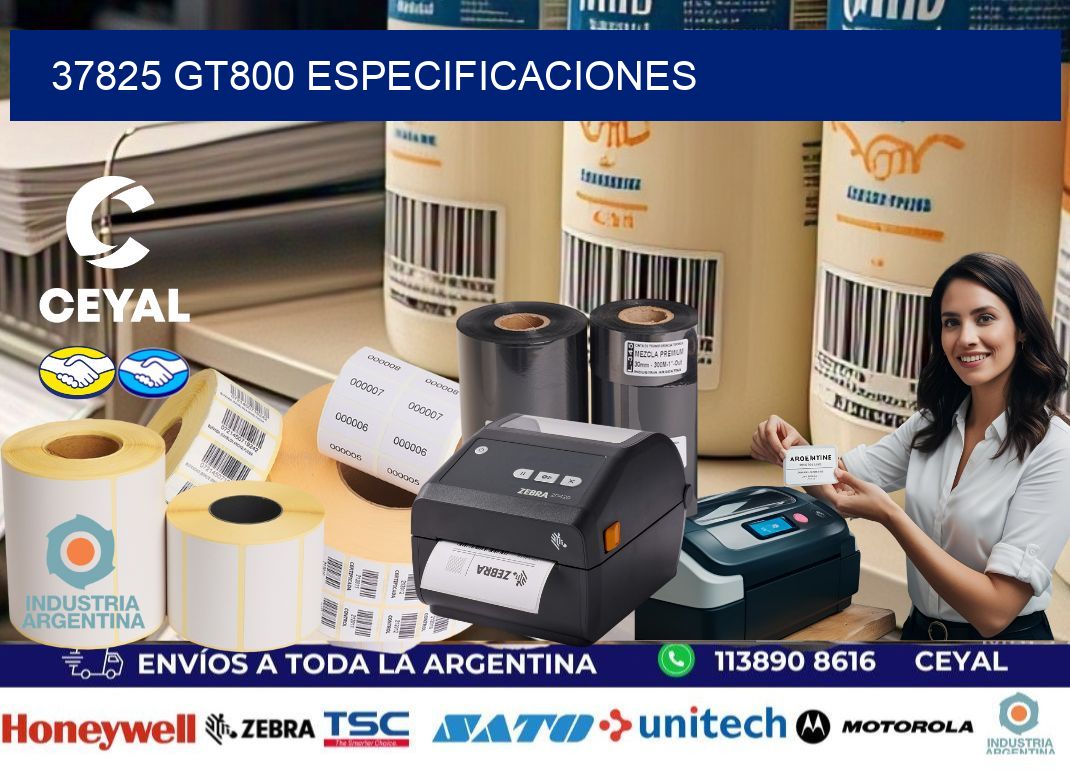 37825 GT800 especificaciones