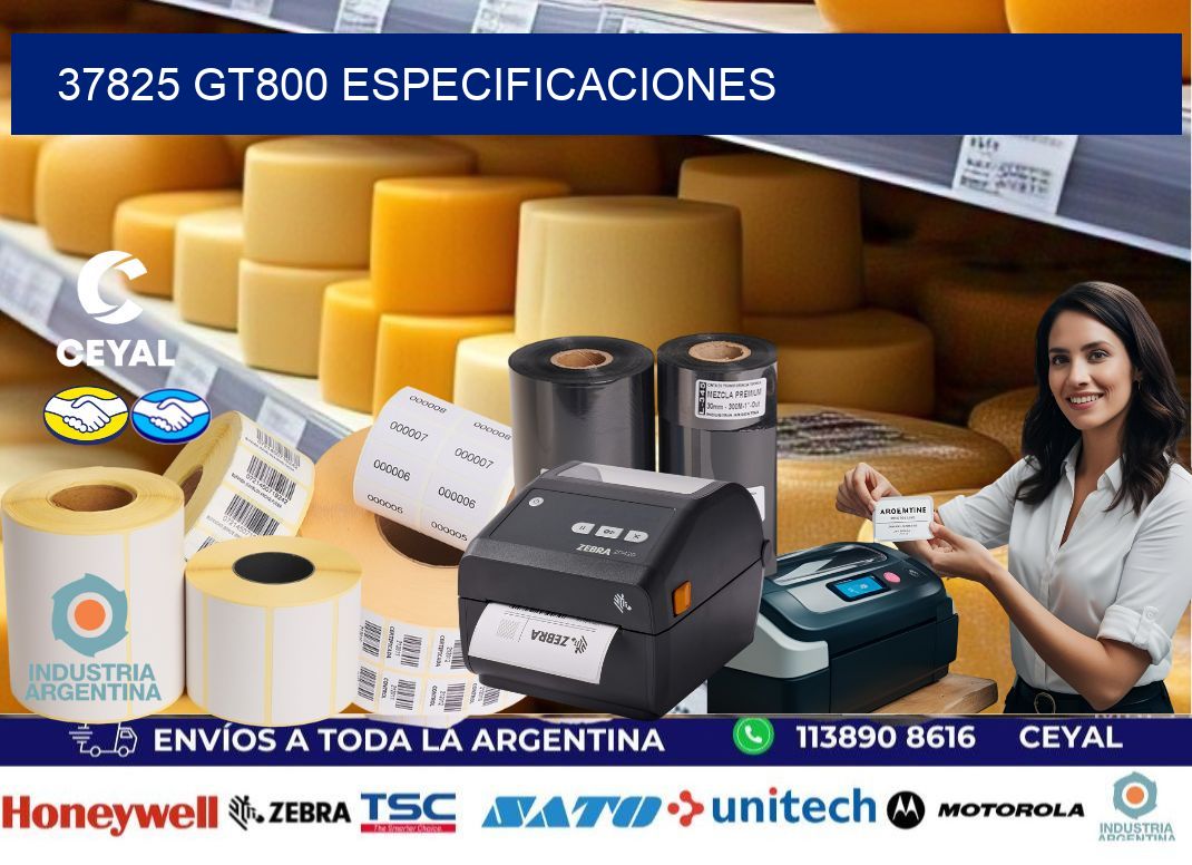 37825 GT800 especificaciones