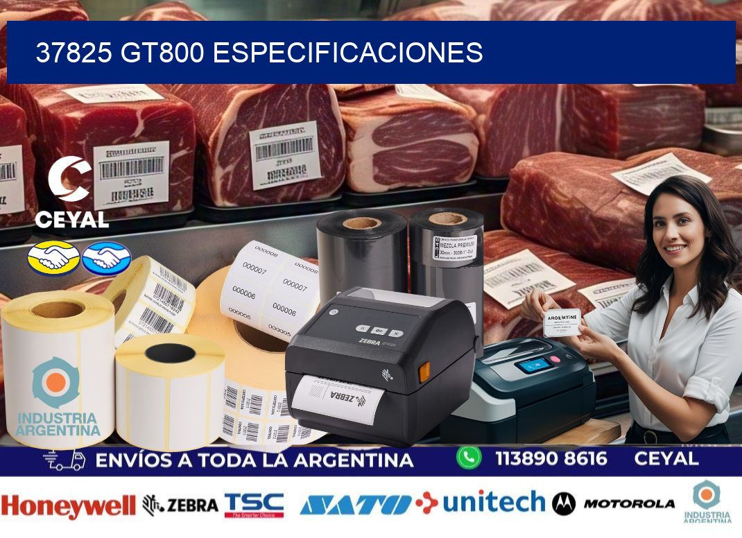 37825 GT800 especificaciones