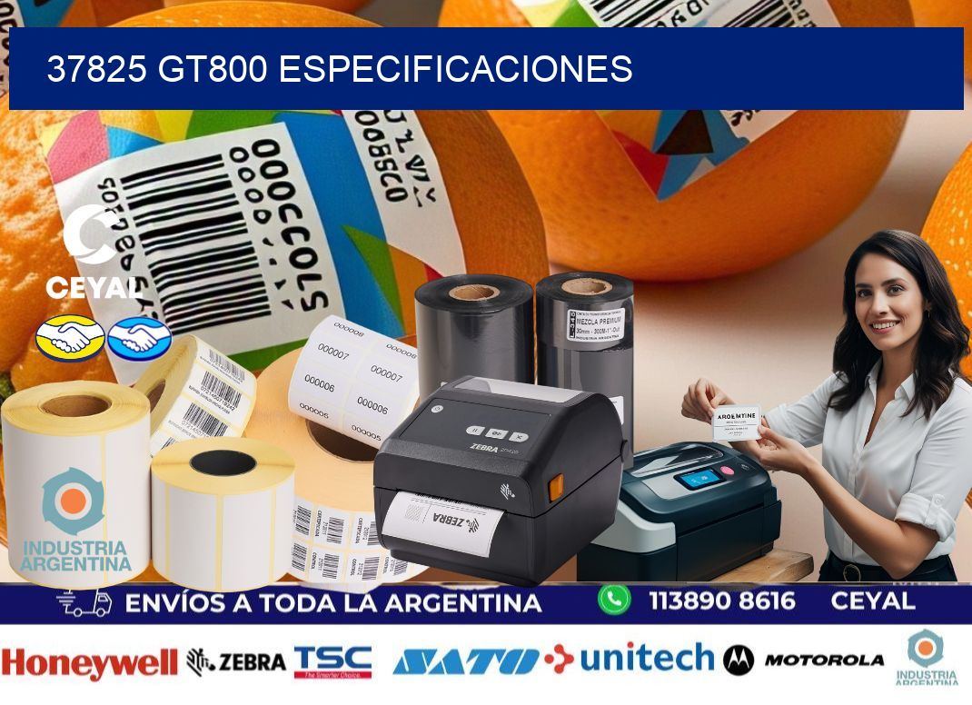 37825 GT800 especificaciones