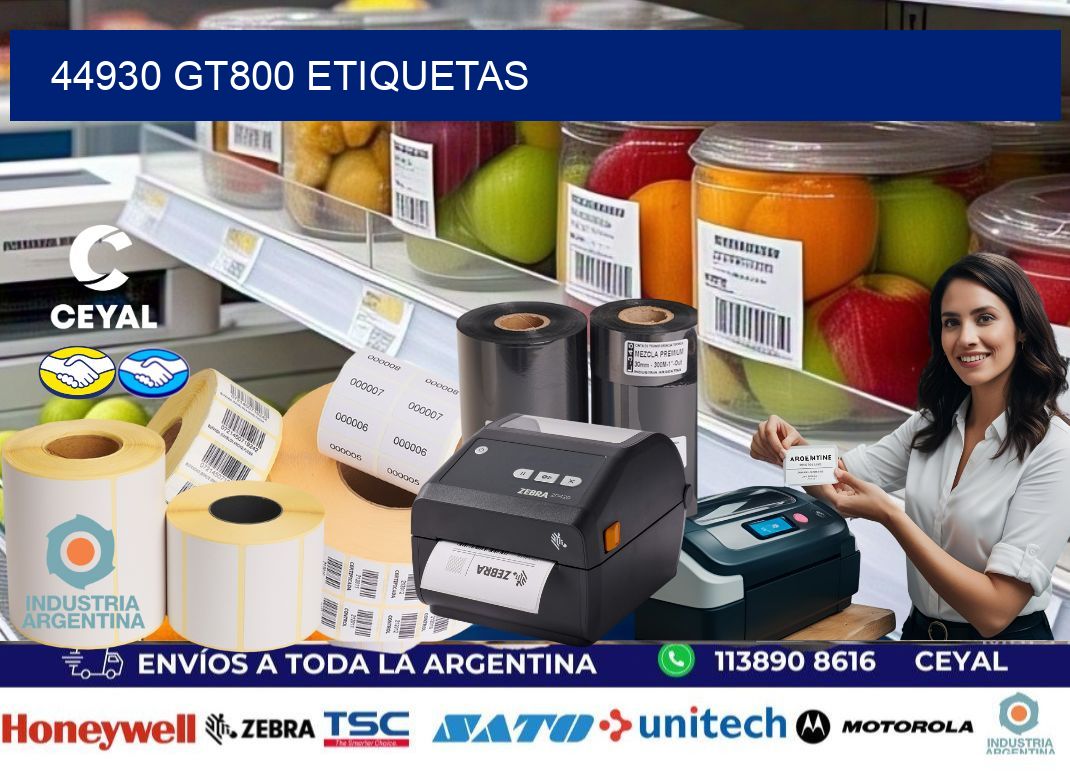 44930 GT800 etiquetas