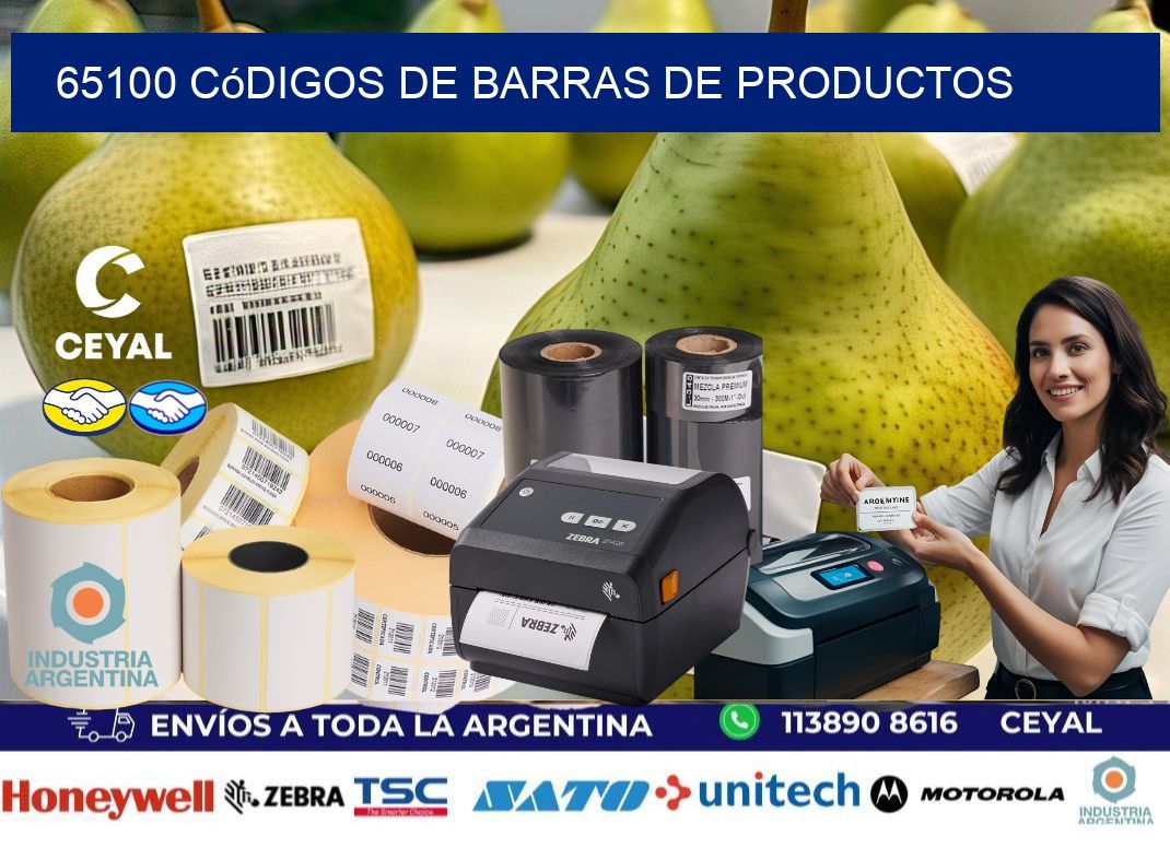 65100 Códigos de barras de productos