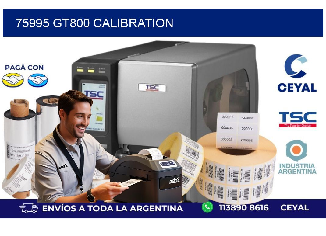 75995 GT800 Calibration