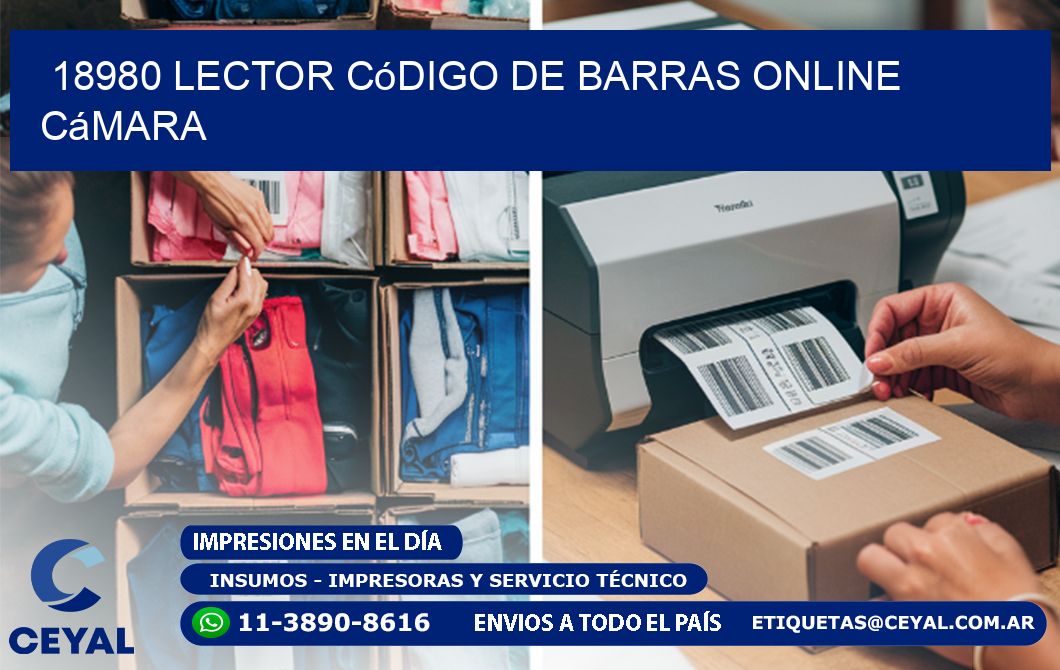 18980 Lector código de barras online cámara