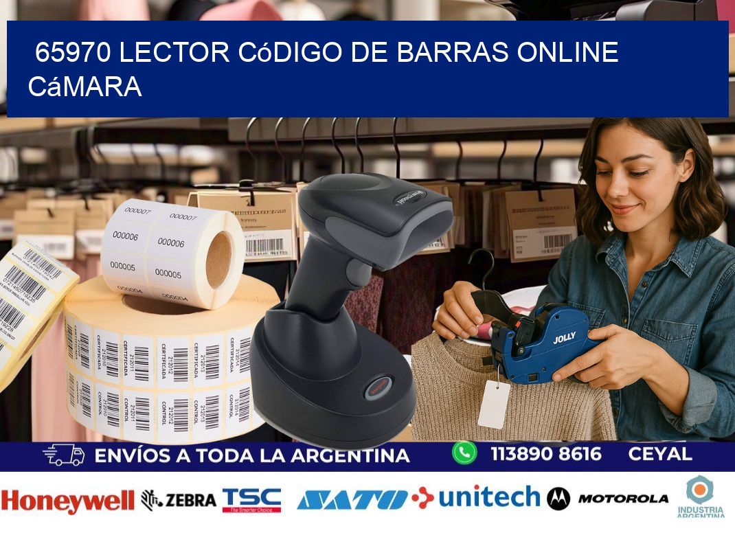 65970 Lector código de barras online cámara