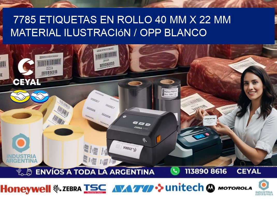 7785 Etiquetas en rollo 40 mm x 22 mm material Ilustración / OPP Blanco