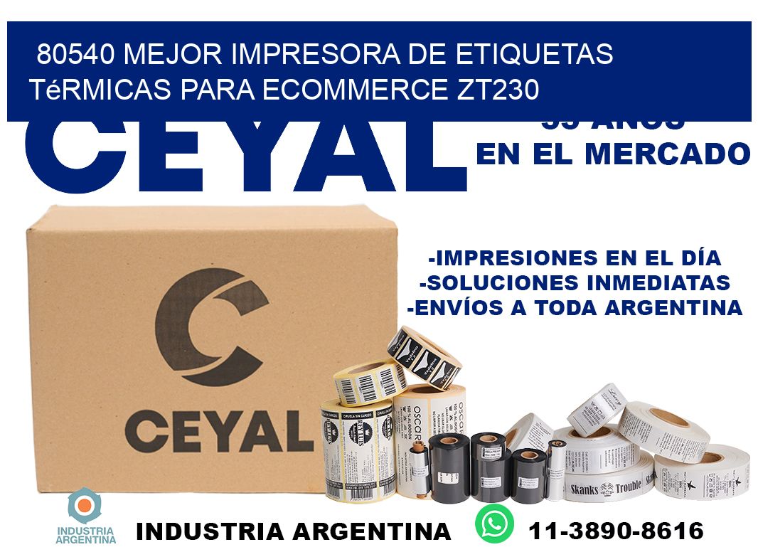 80540 mejor impresora de etiquetas térmicas para ecommerce ZT230