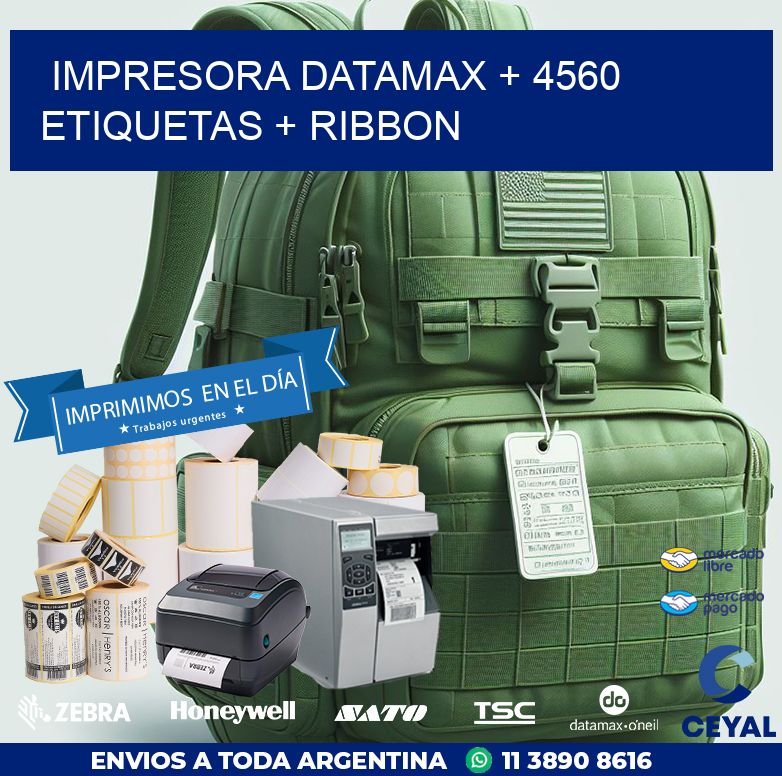 impresora DATAMAX + 4560 etiquetas + ribbon