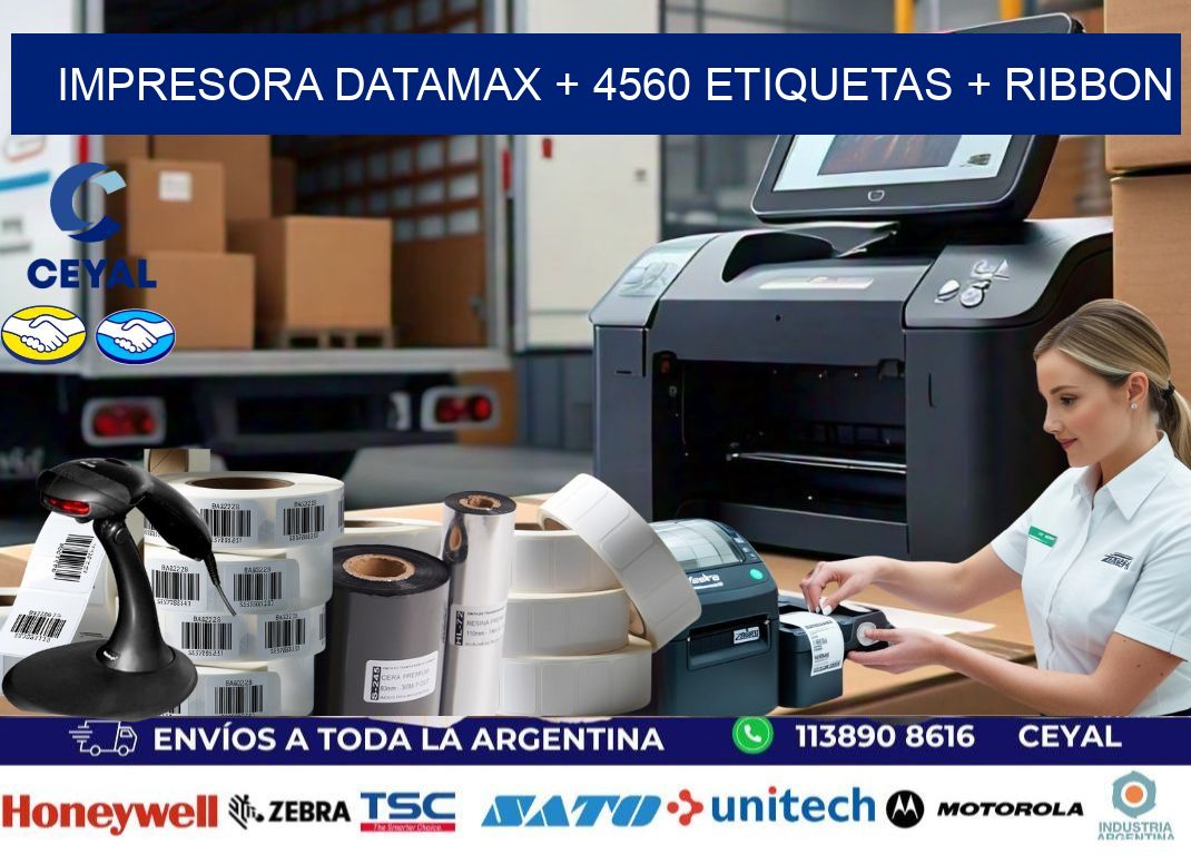 impresora DATAMAX + 4560 etiquetas + ribbon