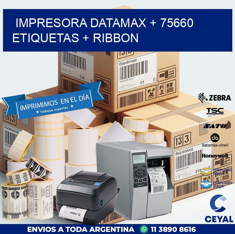 impresora DATAMAX + 75660 etiquetas + ribbon