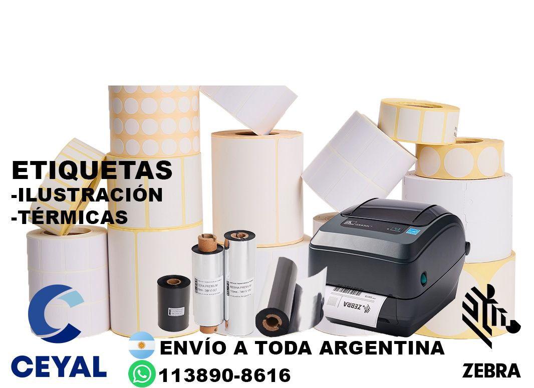 impresora DATAMAX + 75660 etiquetas + ribbon