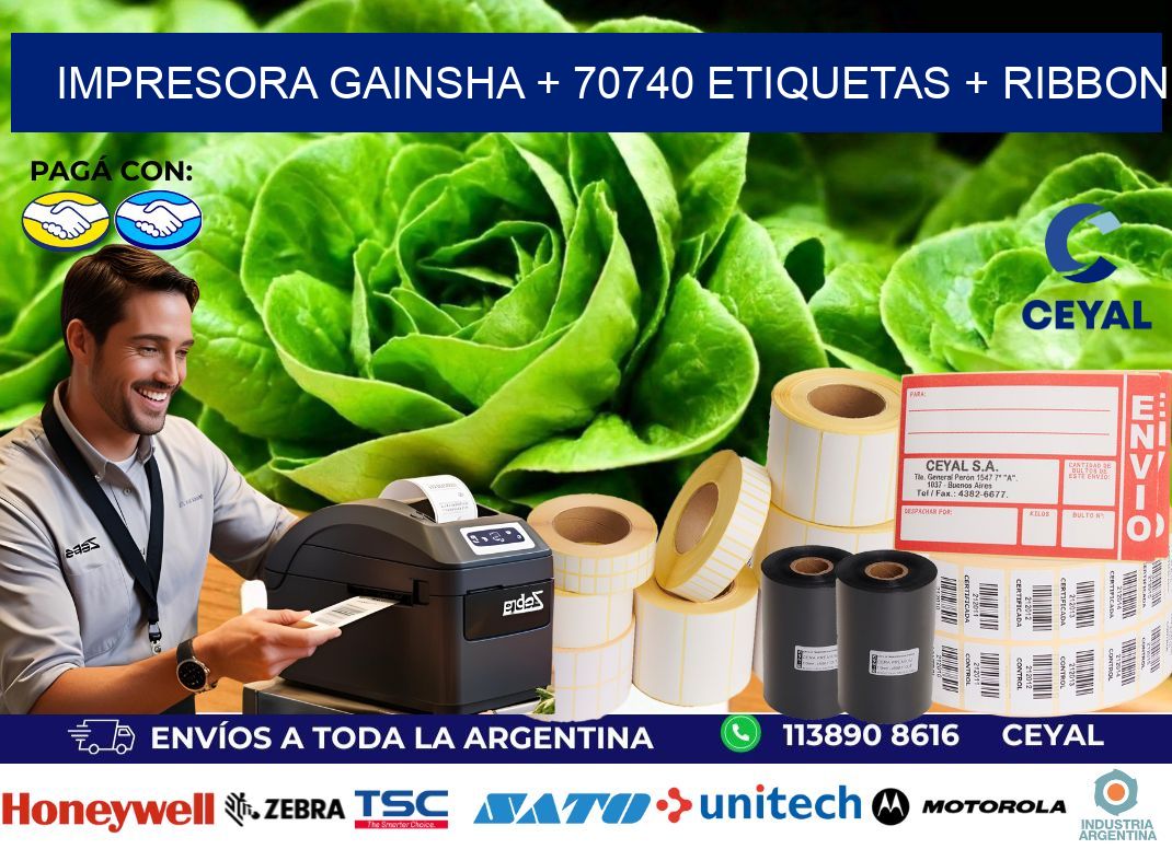 impresora gainsha + 70740 etiquetas + ribbon
