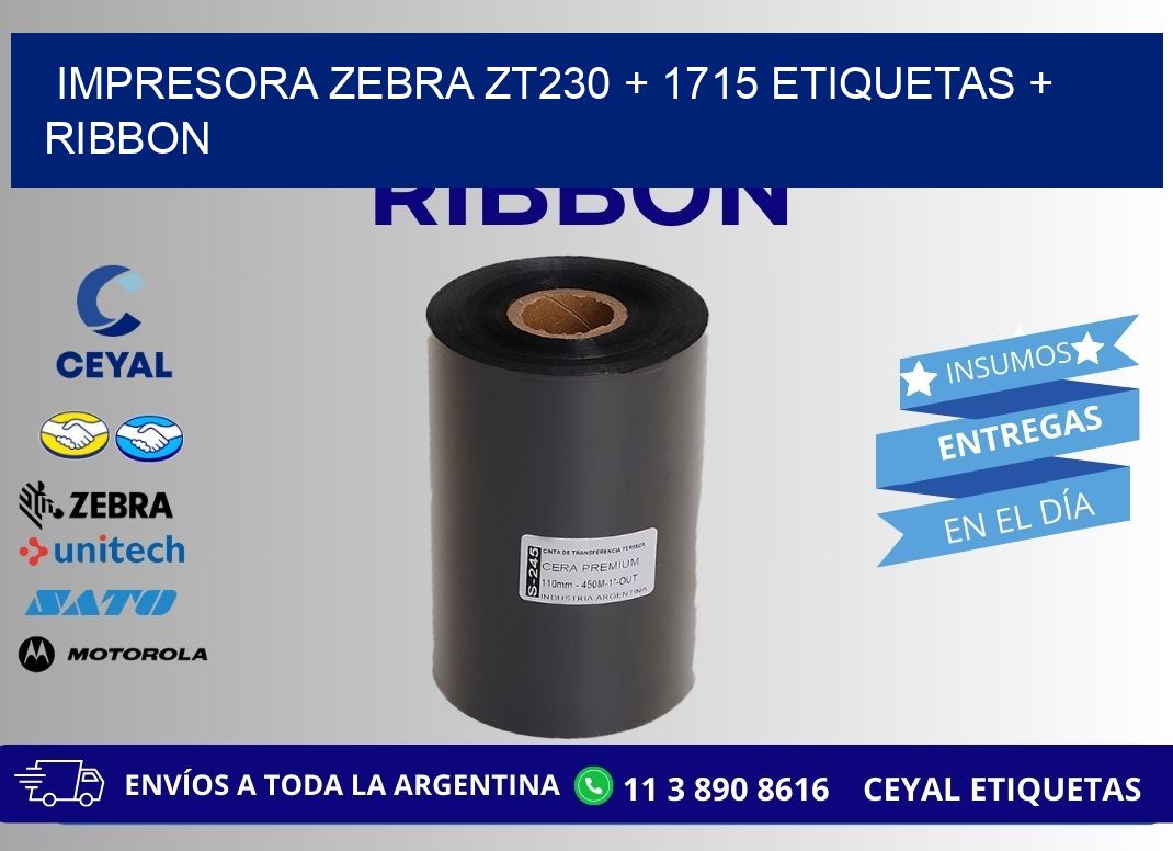 impresora zebra zt230 + 1715 etiquetas + ribbon