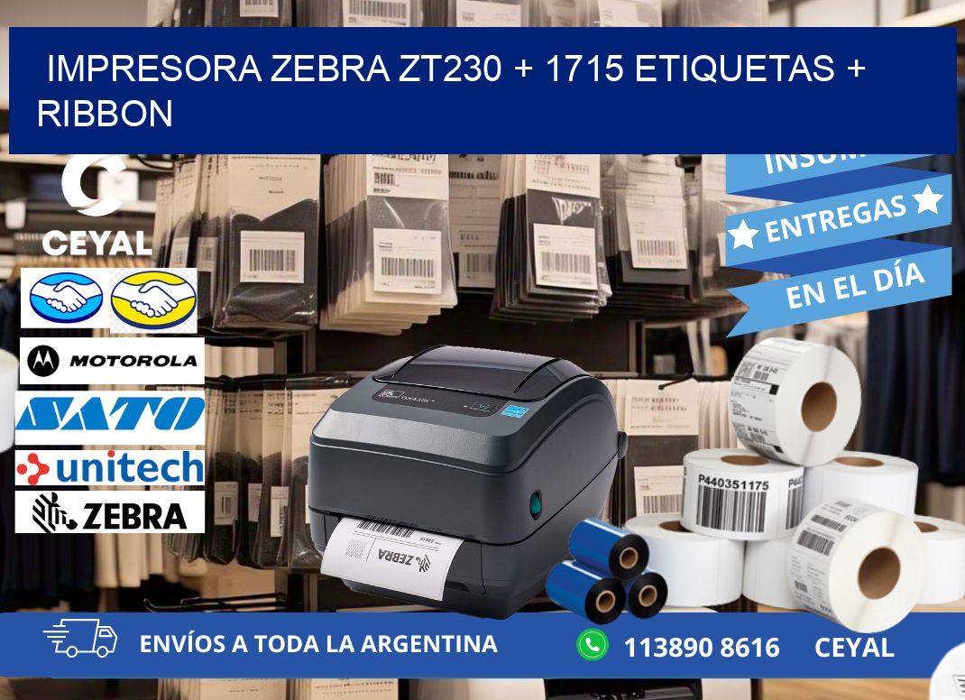 impresora zebra zt230 + 1715 etiquetas + ribbon