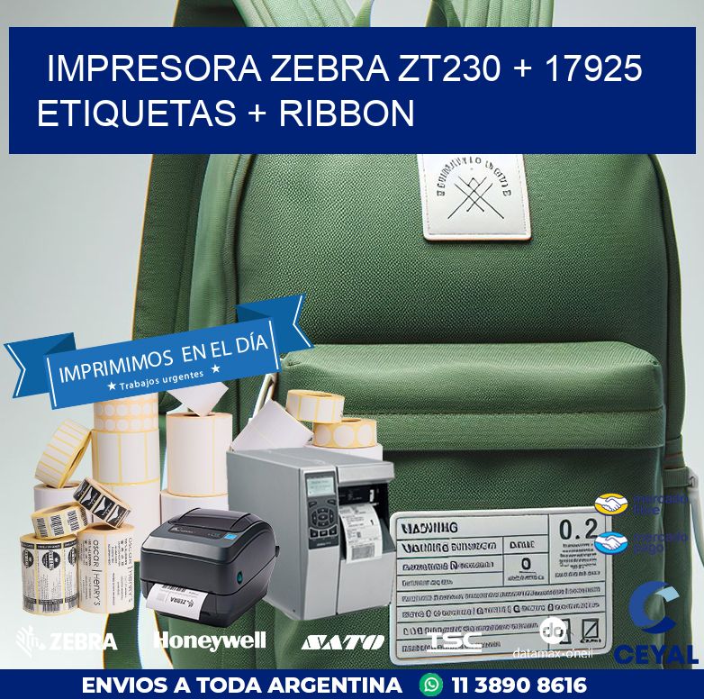 impresora zebra zt230 + 17925 etiquetas + ribbon