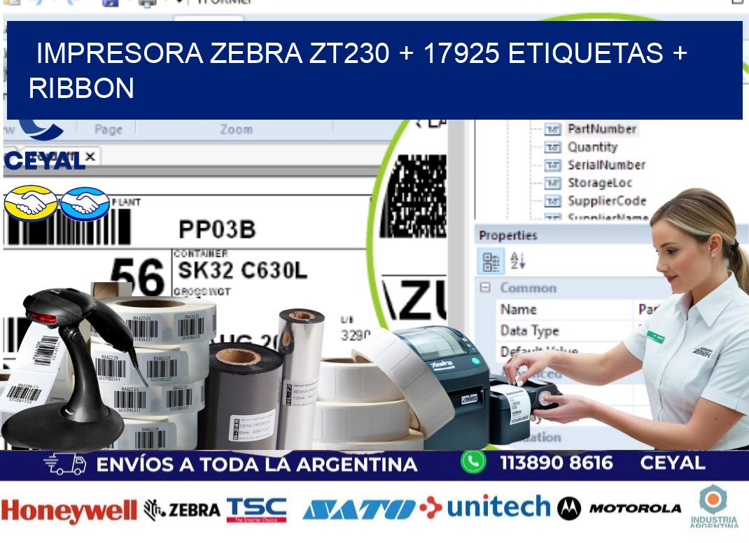 impresora zebra zt230 + 17925 etiquetas + ribbon