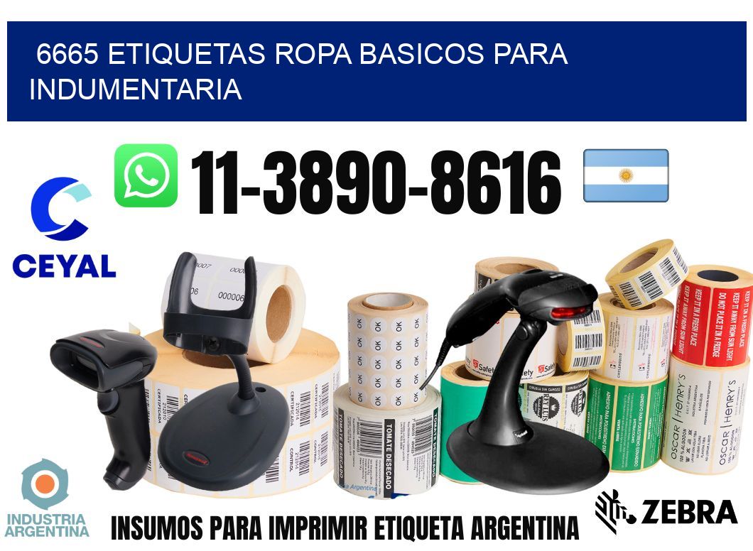 6665 Etiquetas ropa basicos para indumentaria