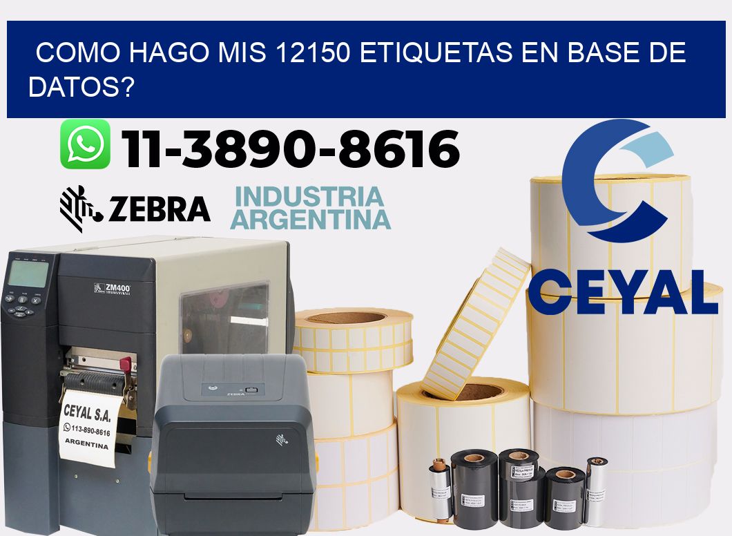 como hago mis 12150 etiquetas en base de datos?