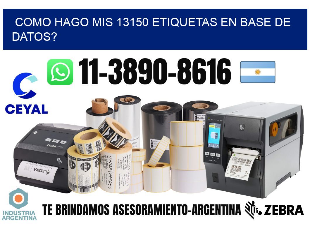 como hago mis 13150 etiquetas en base de datos?