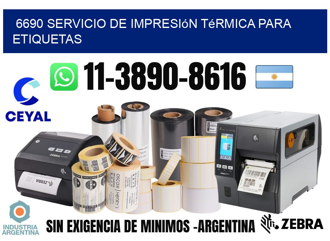 6690 Servicio de impresión térmica para etiquetas