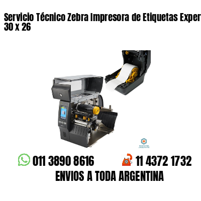 Servicio Técnico Zebra Impresora de Etiquetas Experto 30 x 26