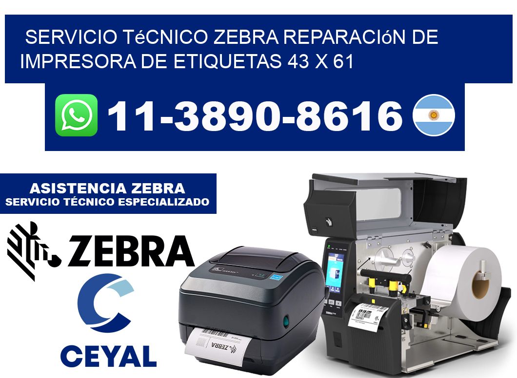 Servicio Técnico Zebra Reparación de Impresora de Etiquetas 43 x 61