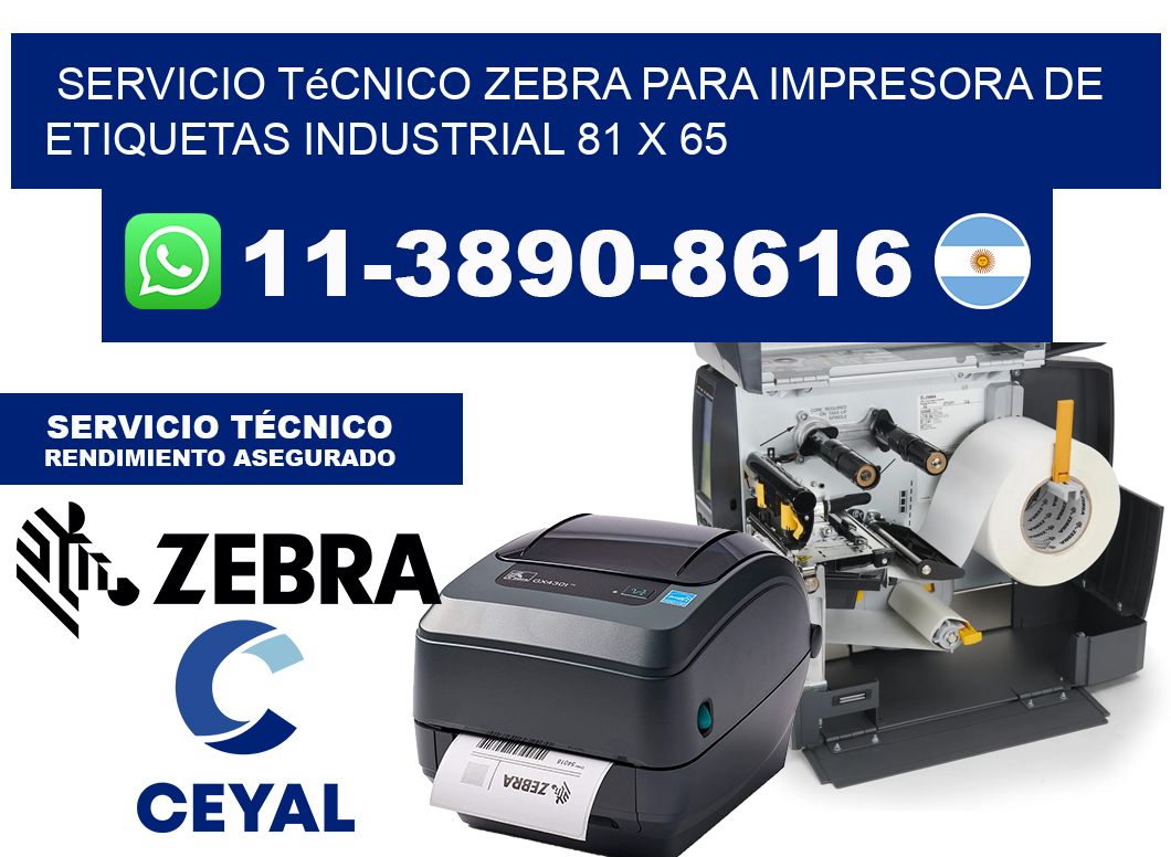 Servicio Técnico Zebra para Impresora de Etiquetas Industrial 81 x 65