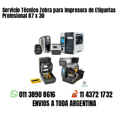 Servicio Técnico Zebra para Impresora de Etiquetas Profesional 87 x 30