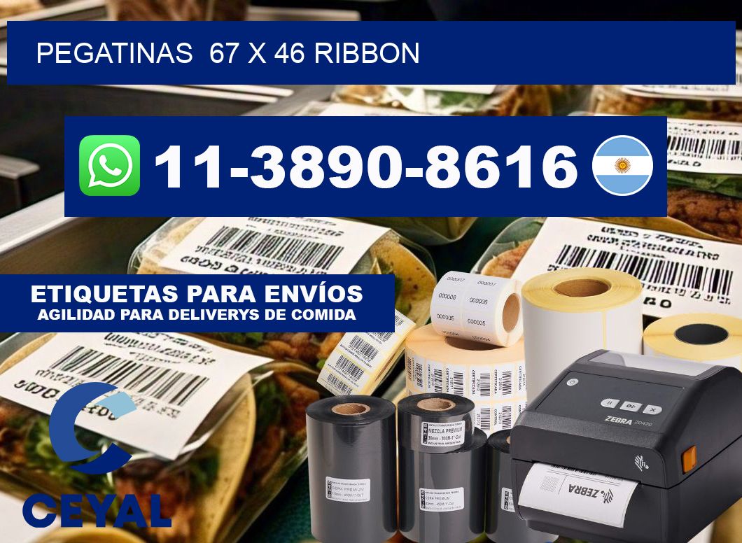 pegatinas 67 x 46 ribbon