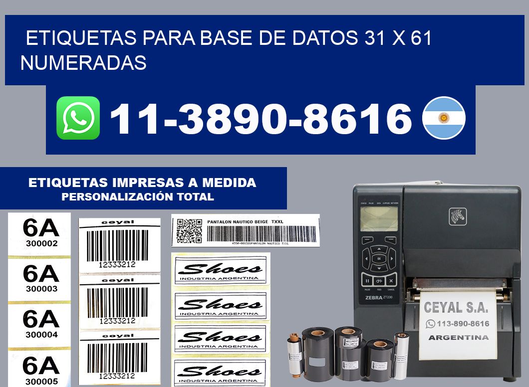 etiquetas para base de datos 31 x 61 numeradas