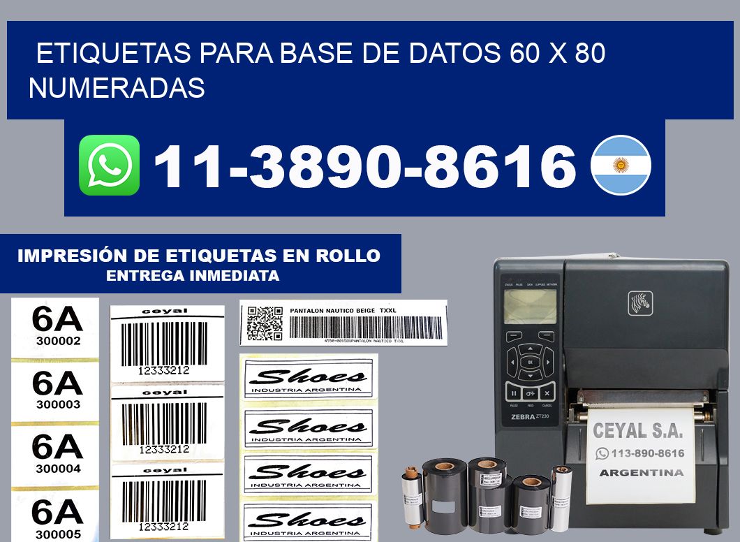 etiquetas para base de datos 60 x 80 numeradas