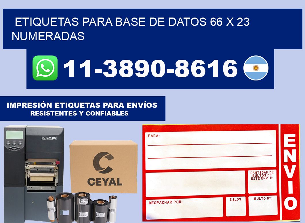 etiquetas para base de datos 66 x 23 numeradas