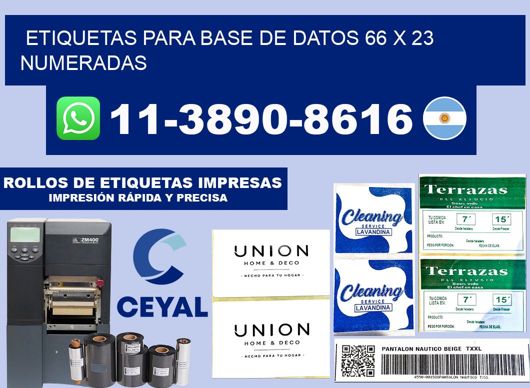 etiquetas para base de datos 66 x 23 numeradas