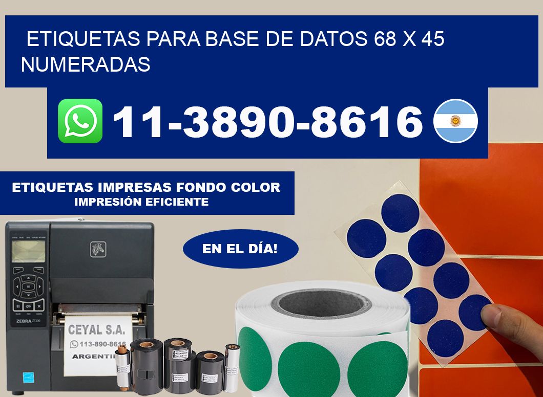 etiquetas para base de datos 68 x 45 numeradas