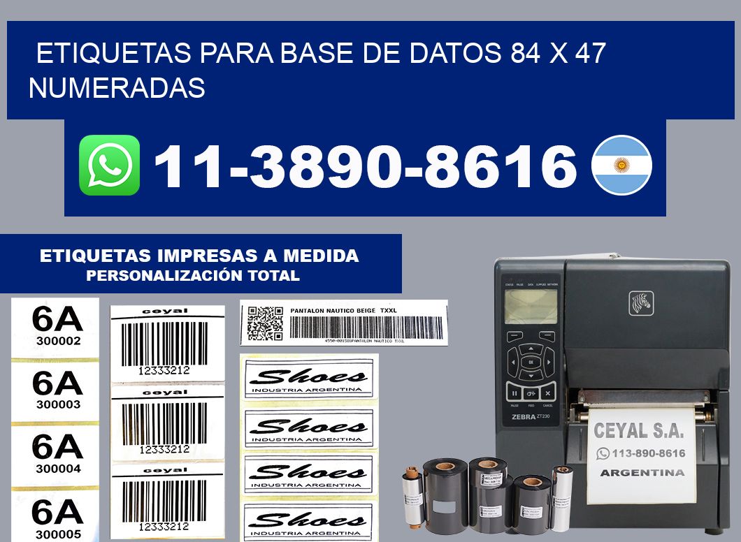 etiquetas para base de datos 84 x 47 numeradas