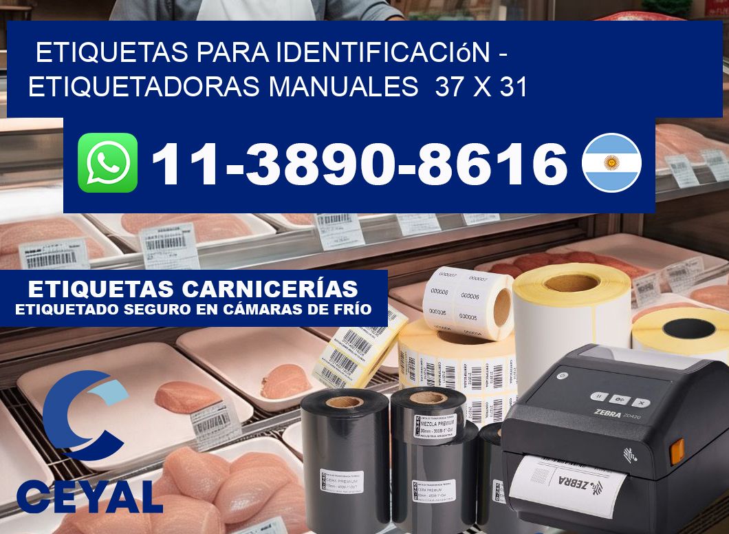 etiquetas para identificación - Etiquetadoras Manuales  37 x 31