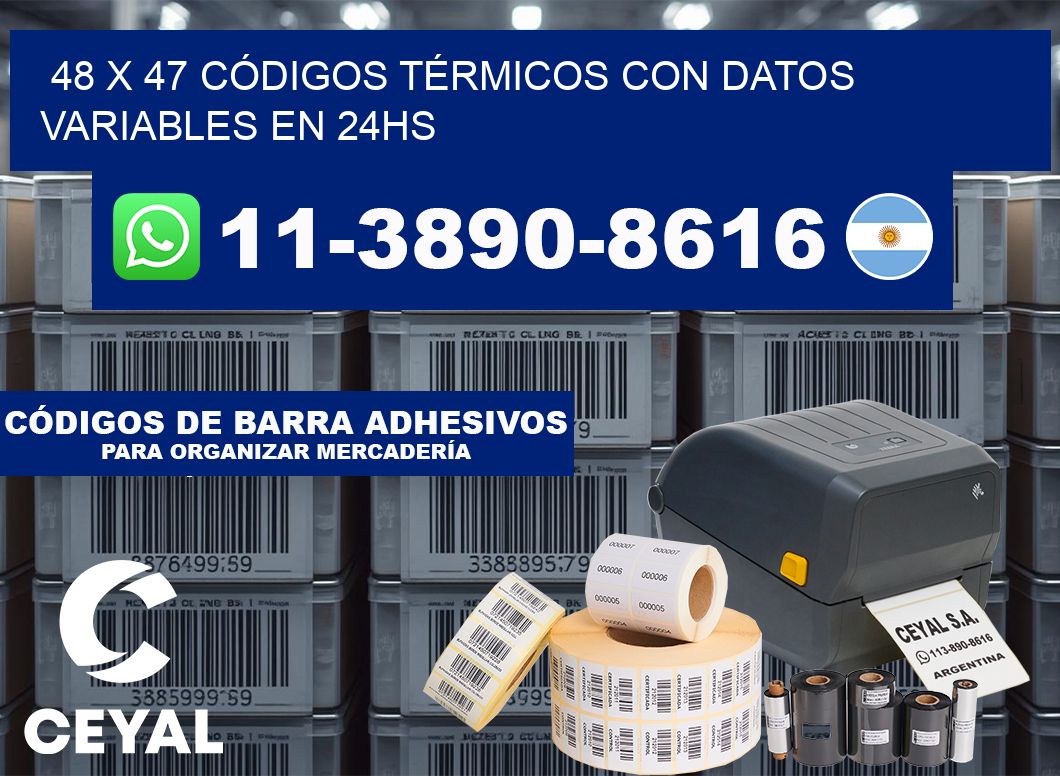 48 x 47 CÓDIGOS TÉRMICOS CON DATOS VARIABLES EN 24HS
