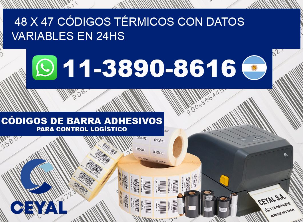 48 x 47 CÓDIGOS TÉRMICOS CON DATOS VARIABLES EN 24HS