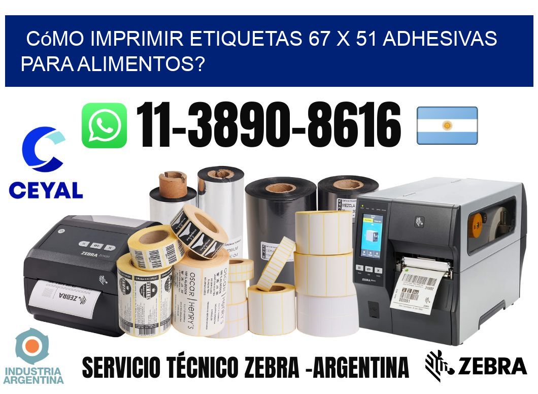 Cómo imprimir etiquetas 67 x 51 adhesivas para alimentos?