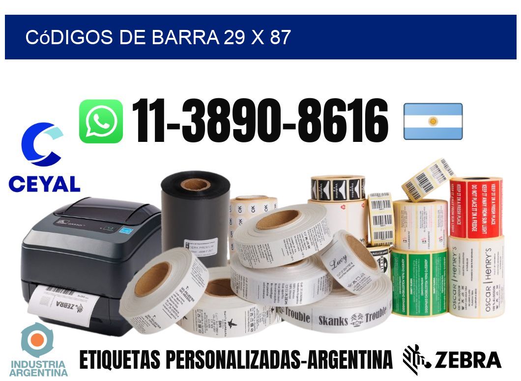 códigos de barra 29 x 87
