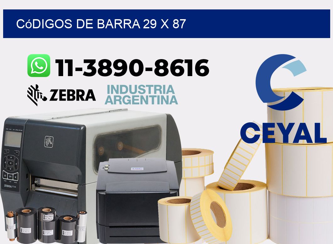 códigos de barra 29 x 87