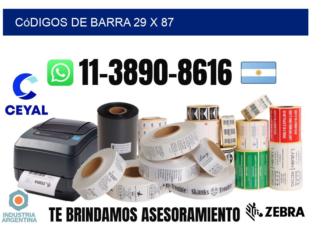 códigos de barra 29 x 87